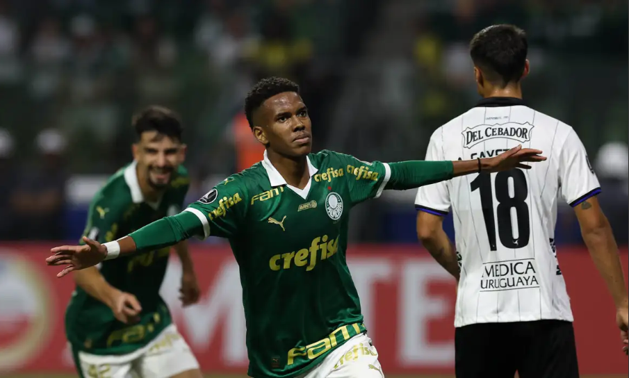 Palmeiras Vence em casa e assume grupo F da Libertadores