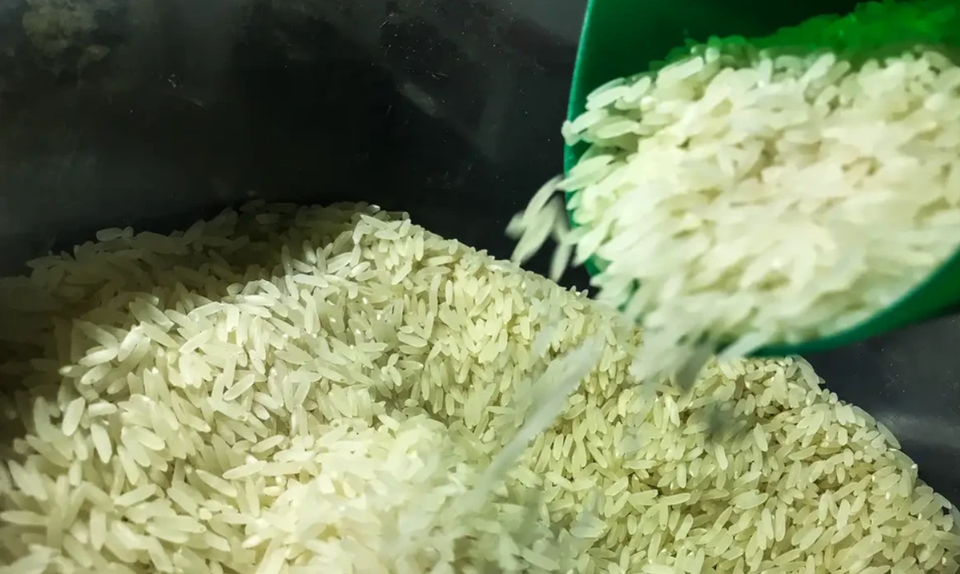 Importação de arroz pode impactar preços do grão no Brasil