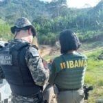 Polícia Militar flagra desmatamento ilegal na Zona da Mata Sul de Pernambuco