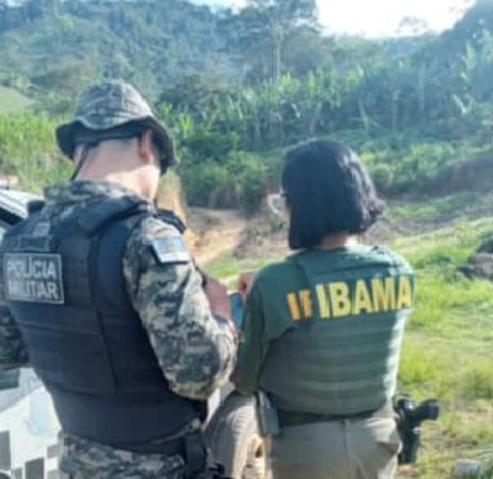 Polícia Militar flagra desmatamento ilegal na Zona da Mata Sul de Pernambuco